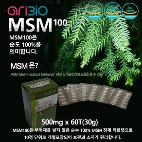 MSM100 관절건강관리 500mg x 60T, 1개, 60정