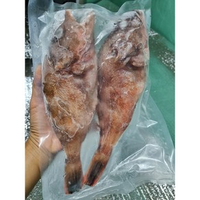 완도 국내산 통손질 쏨뱅이 2마리 (27cm/500g) 솜뱅이 빨간우럭 제수용 제사용, 가정용2마리(500g)