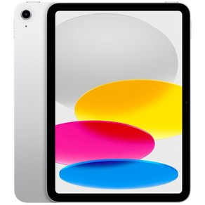 Apple 정품 2022 아이패드 10세대, 실버, 64GB, Wi-Fi