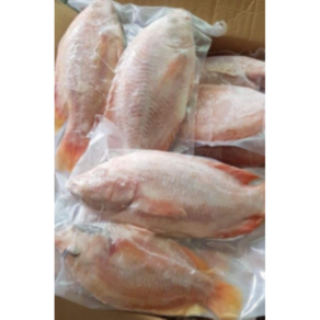 태국 레드텔라피아2p 냉동(FROZEN RED TILAPIA) 900G내외, 1개