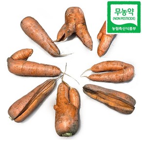 친환경인증 무농약 흙당근 못난이당근 즙용, 1개, 5kg
