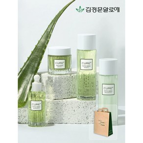 [김정문알로에] 큐어 피토 라인 기초 4종 선물세트 (쇼핑백증정), 1개