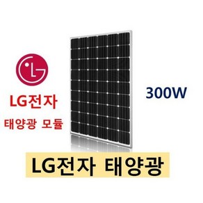 엘지 태양광 모듈 300w LG전자 300와트 태양열 패널