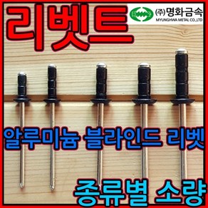 리벳/리베트/못/블라인드/흑색/검정색/리배트/리벳트, 1-4 머리대(대와샤), 4.0*10mm-23개, 1개