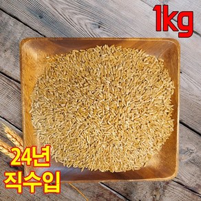 터키산 호라산밀 1kg, 1개