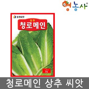 청로메인 씨앗 2g 로메인 상추씨 종자 키우기 영농사