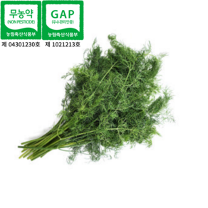 [슬기로운도시농부]국내산 친환경 무농약 GAP 딜 10g(당일 수확해 더 신선하고 더 향긋한 딜), 2개, 10g