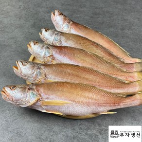 구포시장 반건조생선 반찬용 손질 민어조기 소 중 대 5마리, 27cm 5마리, 5개