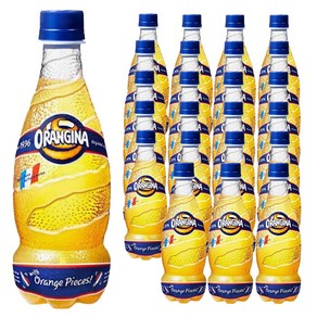 오랑지나 탄산음료, 420ml, 24개