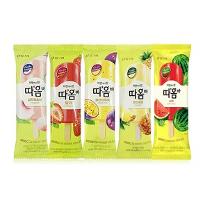 따옴바 아이스크림 5종 세트 한박스 40P, 1세트, 75ml