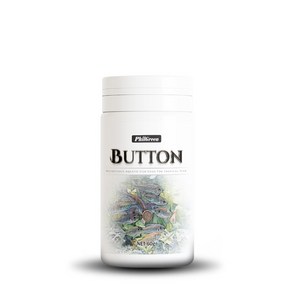 필그린 어항에 붙이는 버튼 사료, 60g, 1개