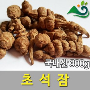 골뱅이형 초석잠(300g)-국내산, 300g, 1개