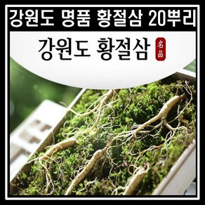 [20뿌리] 국내산 강원도 명품 황절삼 5년근 총20뿌리 산양삼 산삼 인삼 사포닌, 1세트