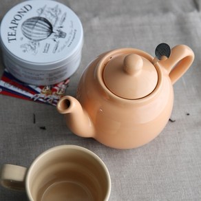 [공식수입사 국내직배송] 런던포터리 티팟 London Pottey Globe 2 cup filte teapot 550ml, 애프리콧