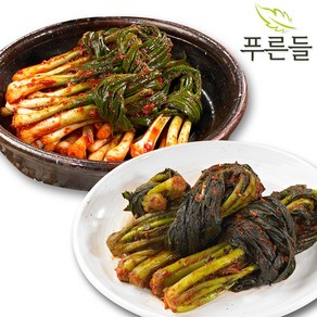 [푸른들] 전라남도 함평김치 파김치 1kg + 여수갓김치 1kg, 2개