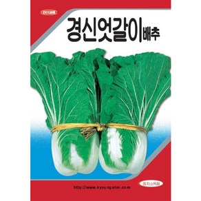 (씨앗) 엇갈이 배추 - 경신엇갈이 - 얼갈이 배추 - 풋배추 - 나물배추 - 20g, 1개