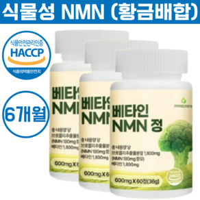 옷니엘팜 베타인 NMN 엔엠엔 NAD+ 식약청인증, 3개, 60정