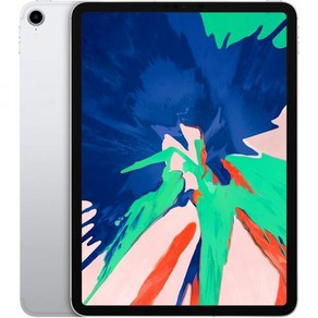 iPad Po 11인치1세대 - 64GB WiFi 셀룰러 실버프리미엄 리퍼, iPad Po 11인치1세대 - 64GB WiFi 셀