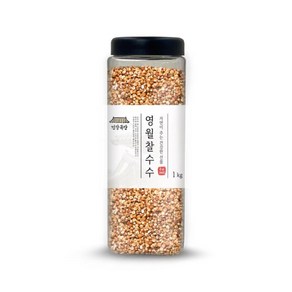 건강곡간 영월 찰수수, 1kg, 1개