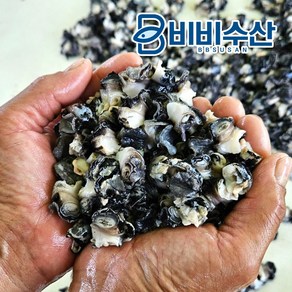 국산 우렁이살1kg(순우렁살700g 물300g), 1개, 1kg