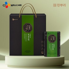 CJ웰케어 한뿌리 흑삼진액 40ML 구증구포 24입 1박스 흑삼, 1개, 960ml