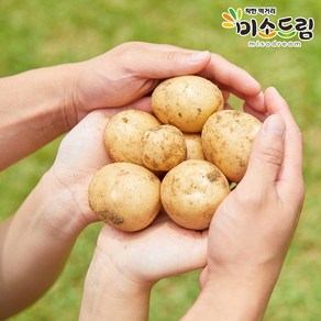 [미소드림] 강원도 맛있는 햇감자 조풍감자 3kg (특대), 1개