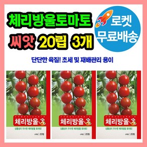 체리방울토마토 씨앗 (합 60립) 씨 종자, 3개