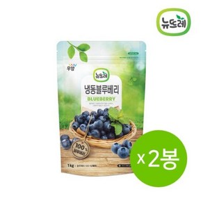 뉴뜨레 냉동과일 블루베리 칠레 1kg 2봉 총 2kg, 2개