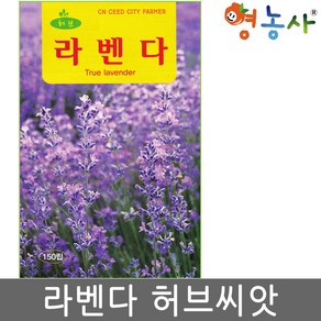 라벤더 허브 씨앗 150립 허브씨 키우기, 1개