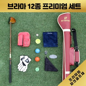 브라마 파크골프채 CP-02 프리미엄 12종 세트 파크골프 입문자용