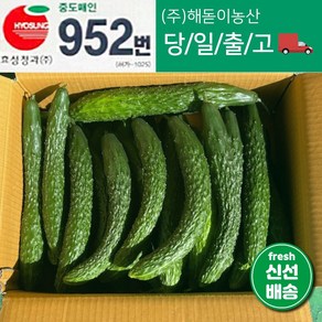 해돋이농산 국내산 오이 가시오이 청오이 못난이오이 3kg 5kg 10kg