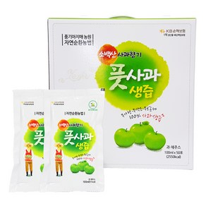 백두대간농수산 경북 영주 풋사과즙 100ml 50팩 100팩 풋사과 생즙 소백산 사과향기, 1개, 5L