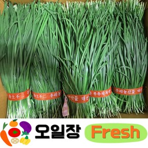 ( 오일장프레시 1호점 ) 국내산 부추 500g~600g(한단) 1kg 2kg 내외, 1박스