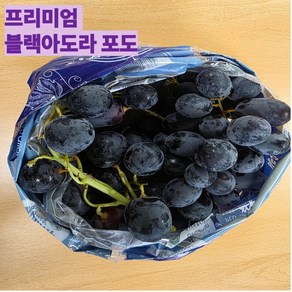 [초고당도] 프리미엄 블랙아도라포도 찐한 달콤함의 꽉 찬 과육, 1개, 2kg