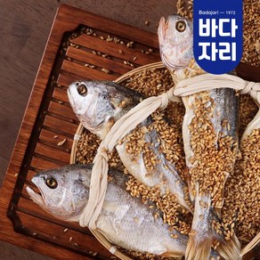 영광 법성포 부세 보리굴비 특대 프리미엄 10마리, 프리미엄(29~31cm 10마리), 1개