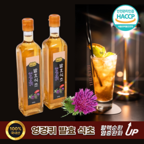[더케리] 엉겅퀴 발효 식초 100% 국내산 엉겅퀴 수제 발효식초, 2개, 500ml