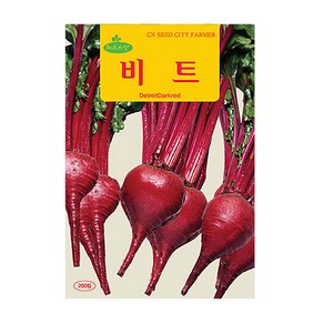 청농 비트 씨앗 200립 비트씨 빨간무 종자 키우기, 1개