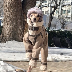 이탈리안 그레이하운드 터틀넥 목폴라 겨울 휘핏 옷 두꺼운 강아지옷 애견, S/등32cm/가슴둘레 46cm/4-5kg, 1개