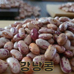 충북 충주 24년산 국산 강낭콩 1kg 호랑이콩 양대 호랑이강낭콩, 1개