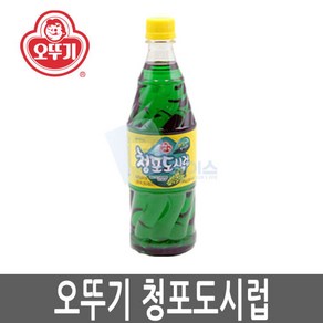 ileum^m오뚜기 청포도향시럽 1kg 1병 슬러시원액 슬러시용 맛있는 고급 다용도 과일향 빙수용 희석해서먹는 음료베이스 업소용일medi*^