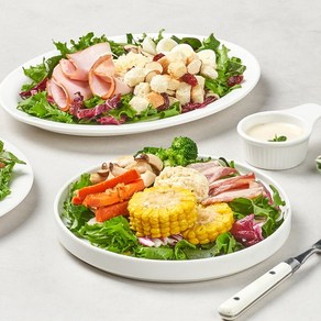 [매일배송] 디자인밀 300샐러드Meal 1주/총5일, 1개