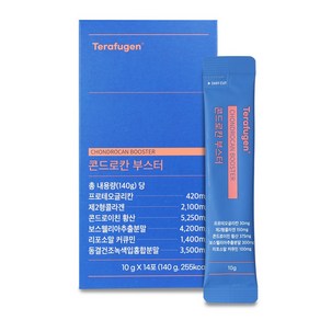 테라퓨젠 테라퓨젠 콘드로칸 부스터 10g x 14포, 140g, 1개