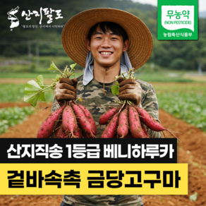 [산지팔도] 명품 무농약 해남 고구마 특별품종 꿀고구마 베니하루카 100% 품질보증, 1박스, (세척) 해남 꿀고구마 3kg (한입)