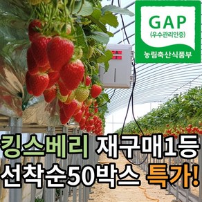 23년 GAP인증 논산 킹스베리 킹스베리딸기 제철과일, 1개, [대왕특]450g내외 ] 8-10