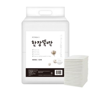 한장뚝딱 라이트 강아지 애견 패드 20g 100매 40x50cm, 1팩, 100개입