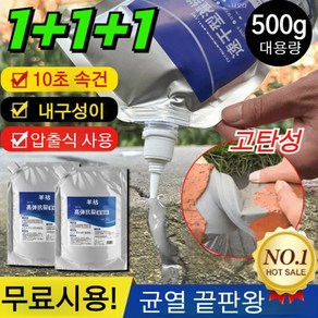 1+1+1 무료시용!! 지붕 바닥 균열 보수 그라우팅 접착제 10초 속건 바닥벽면 방수 고탄력 균열방지 관개제, [1+1+1]500g, 3개
