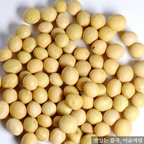 이슬처럼 국산 백태 5kg 메주콩 노란콩 ( 23년산 ), 1개