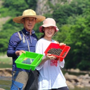 아빠랑 딸이 직접 잡아서 보내드리는 자연산다슬기