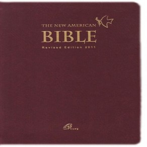 The New Ameican Bible, 바오로딸