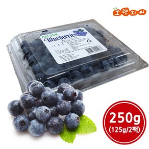 생 블루베리 250g (125g 2팩)